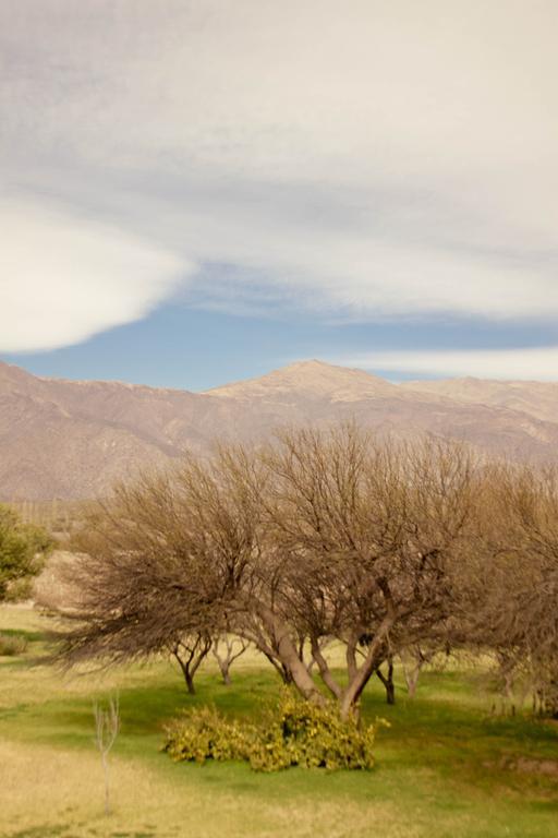 Altalaluna Hotel Boutique & Spa Cafayate Exteriör bild