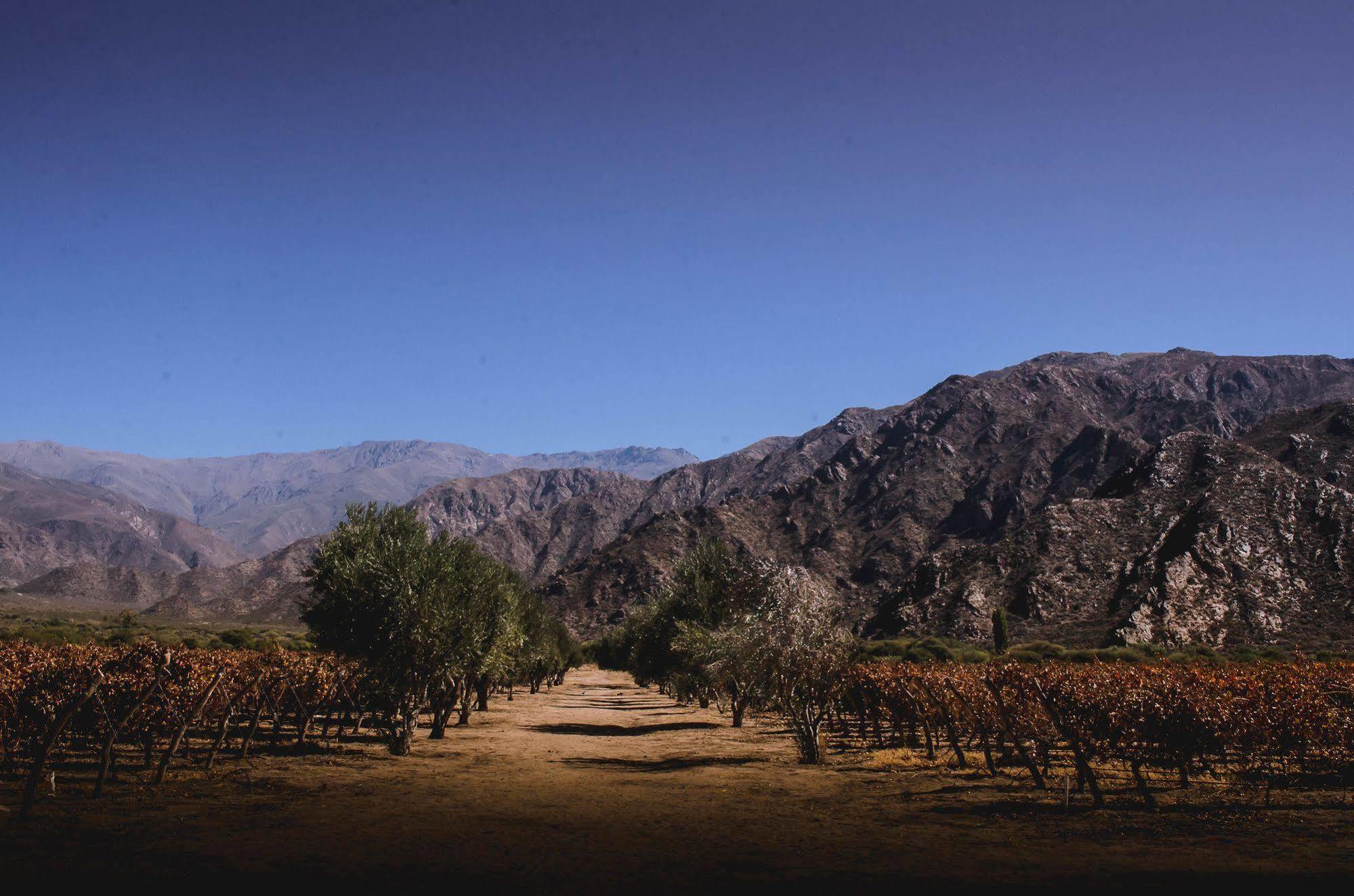 Altalaluna Hotel Boutique & Spa Cafayate Exteriör bild