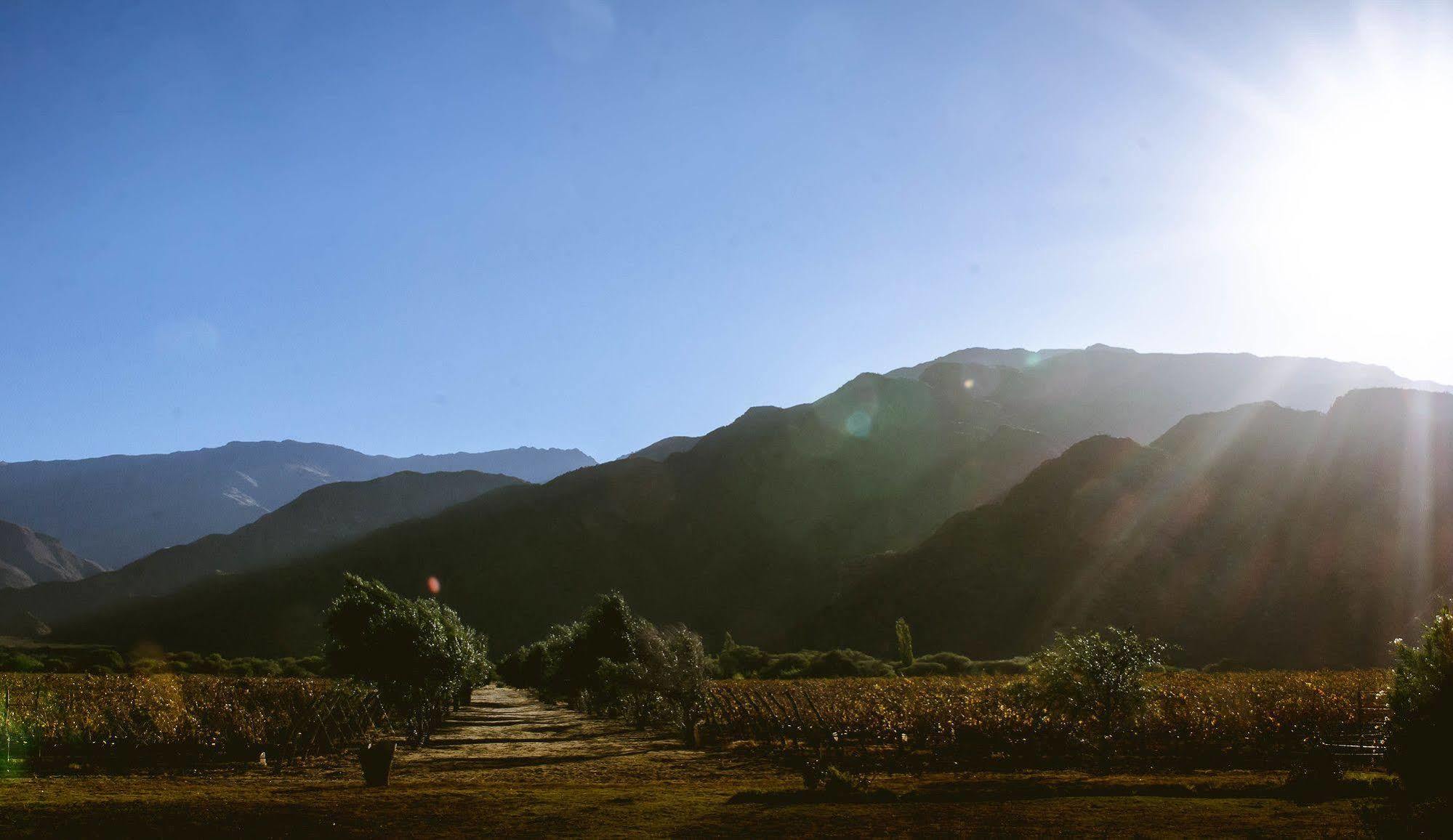Altalaluna Hotel Boutique & Spa Cafayate Exteriör bild